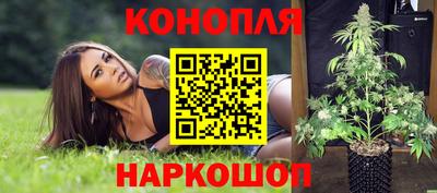 спиды Малгобек